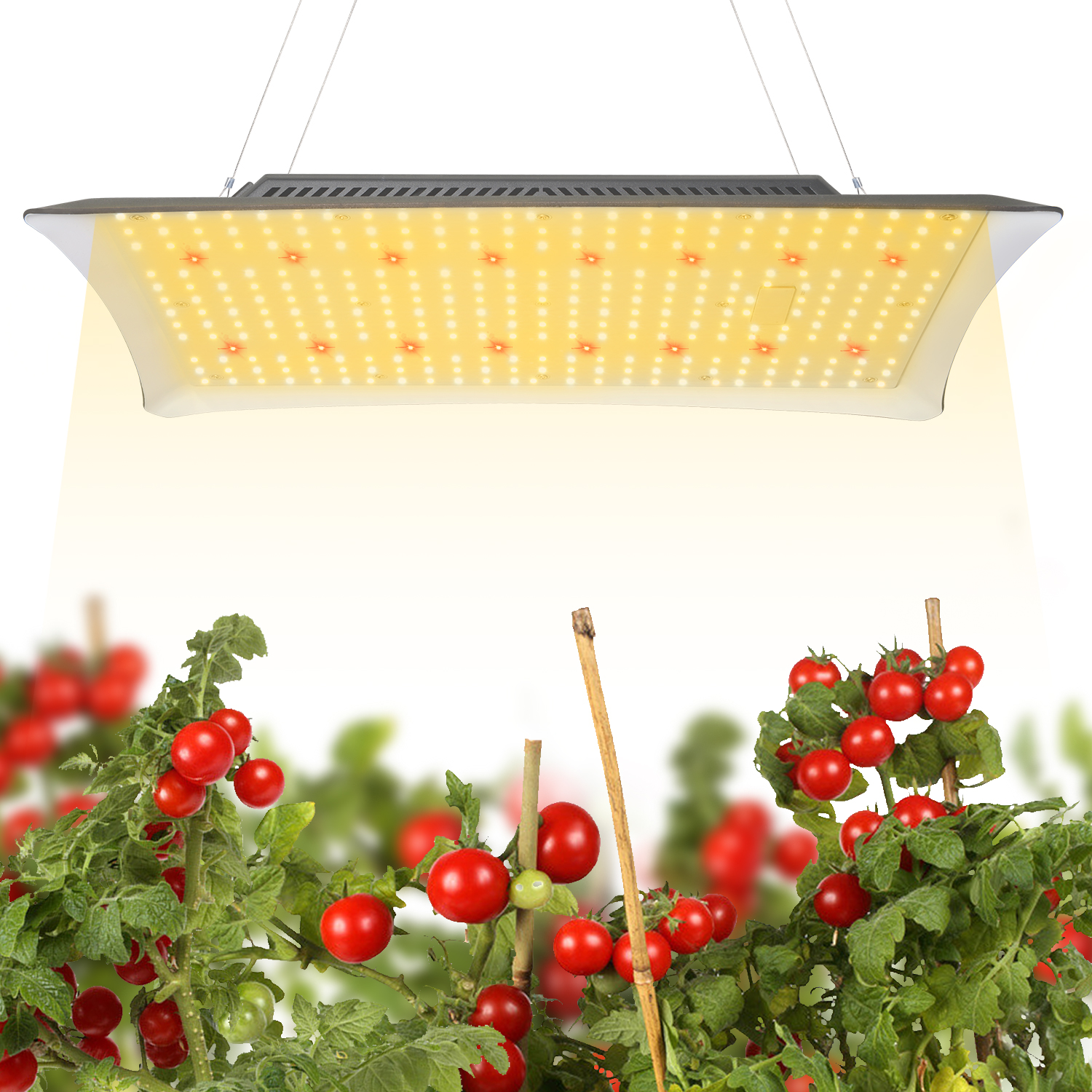 艾博特YD系列1000详情页