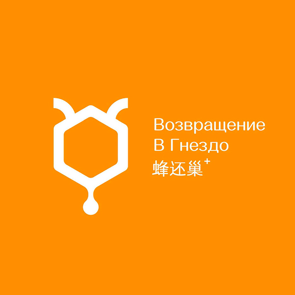 蜂还巢品牌设计